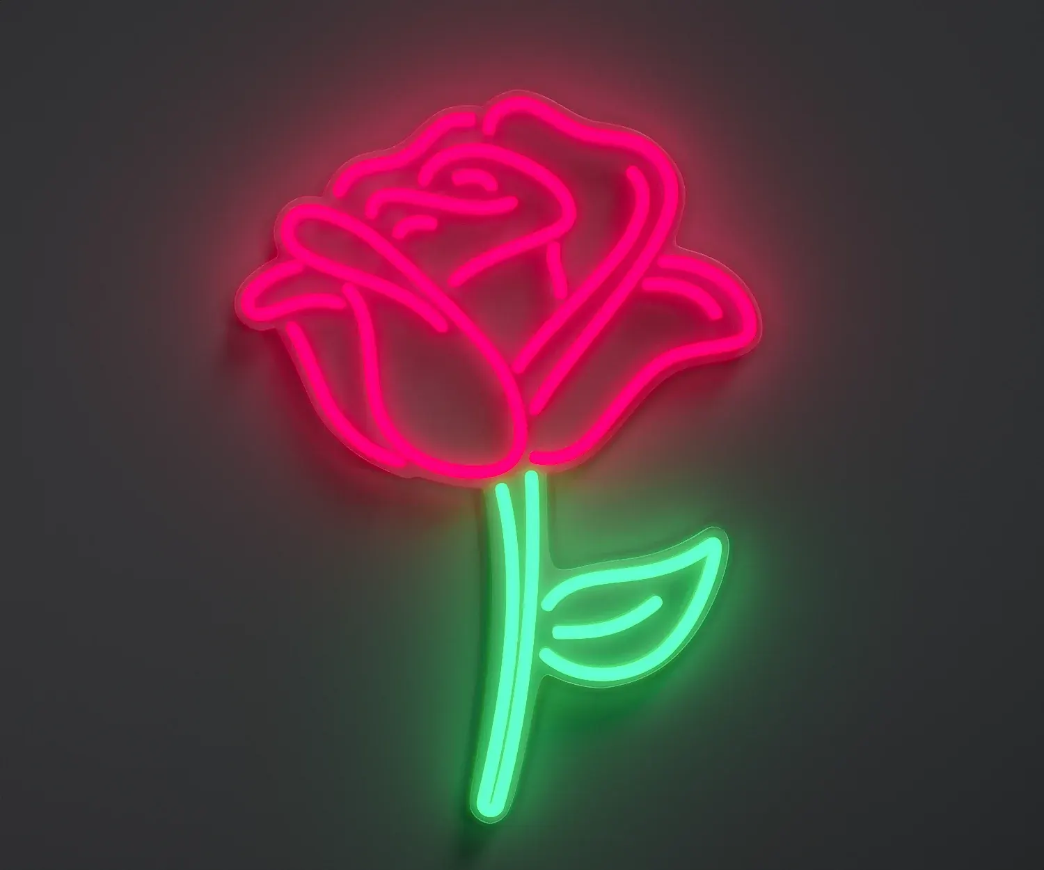 Classic Rose 1