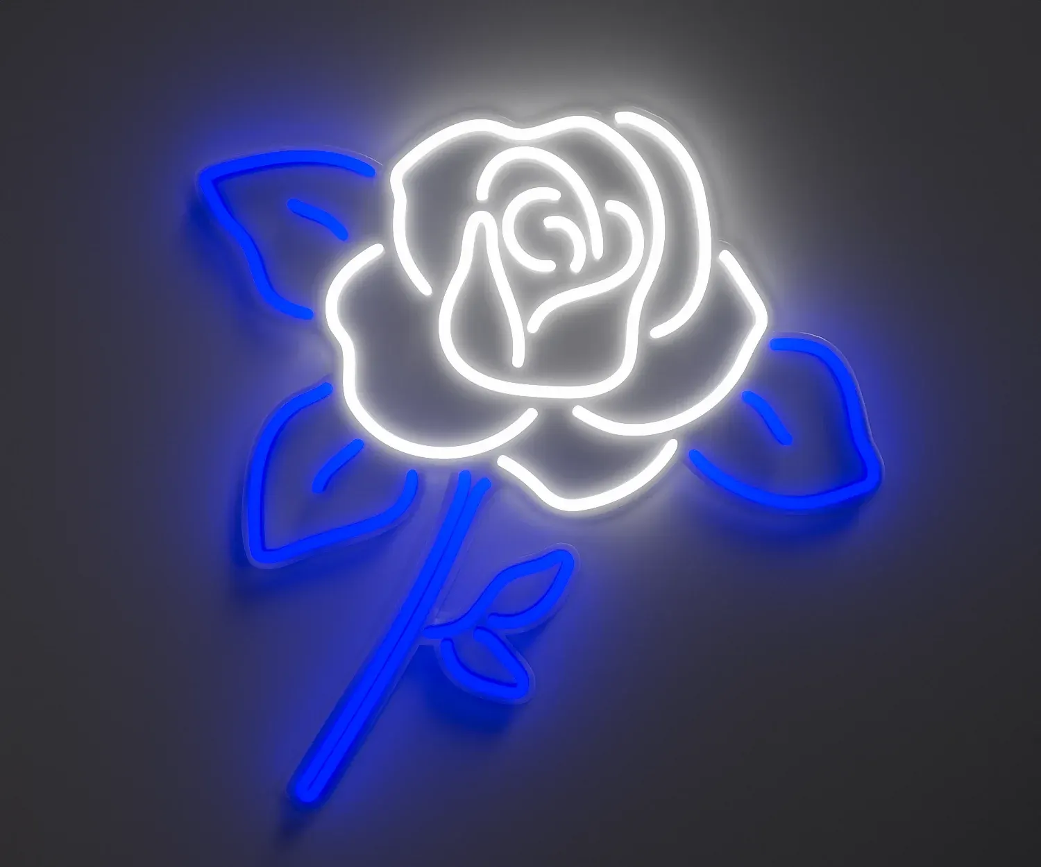 Blossoming Rose 1