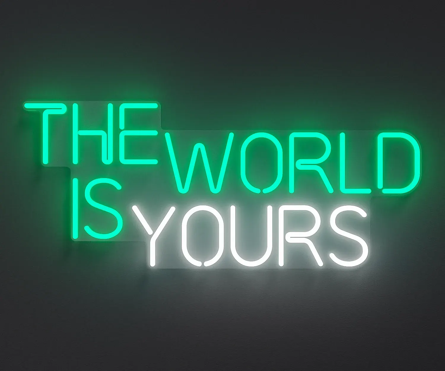 The World Is Yours 1